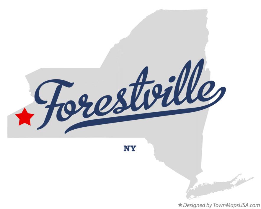 Map of Forestville, NY, New York